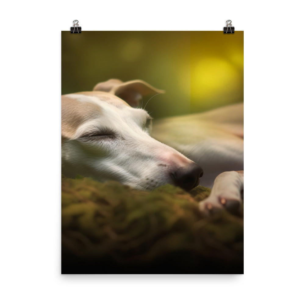 Whippet Beauty Sleep Photo paper poster - PosterfyAI.com