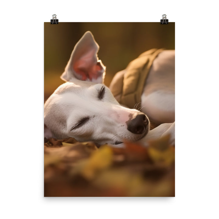 Whippet Beauty Sleep Photo paper poster - PosterfyAI.com