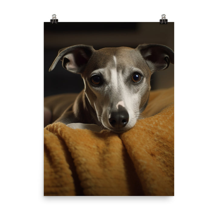 Whippet at Home Photo paper poster - PosterfyAI.com