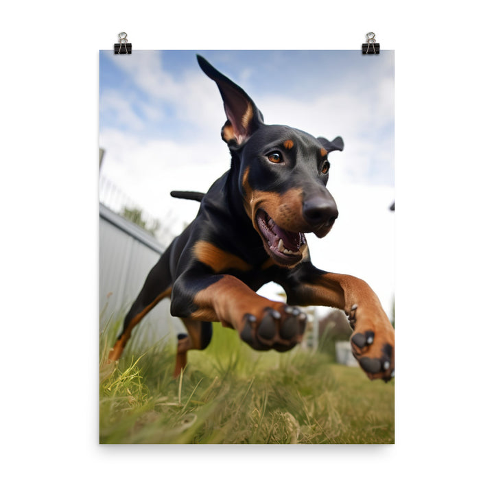 The playful side of a Doberman Pinscher Photo paper poster - PosterfyAI.com