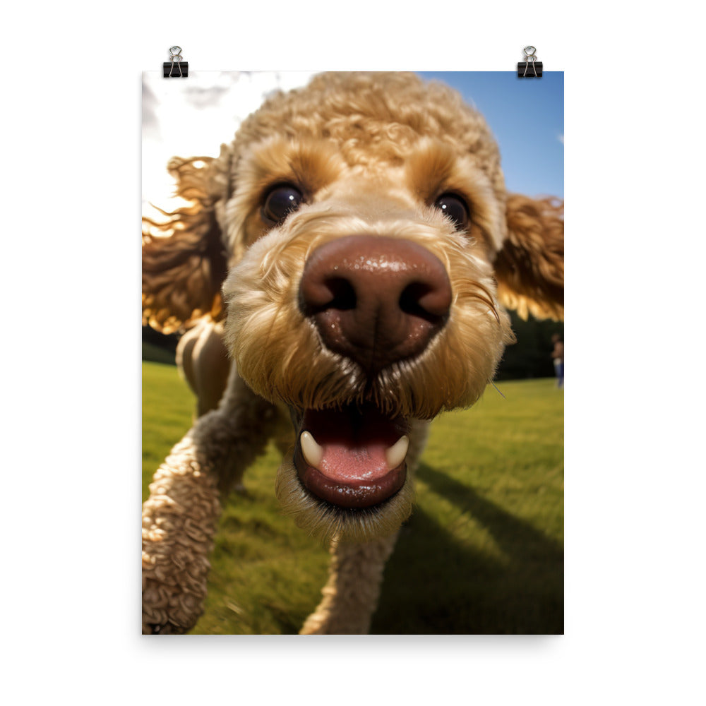 The Playful Poodle Photo paper poster - PosterfyAI.com