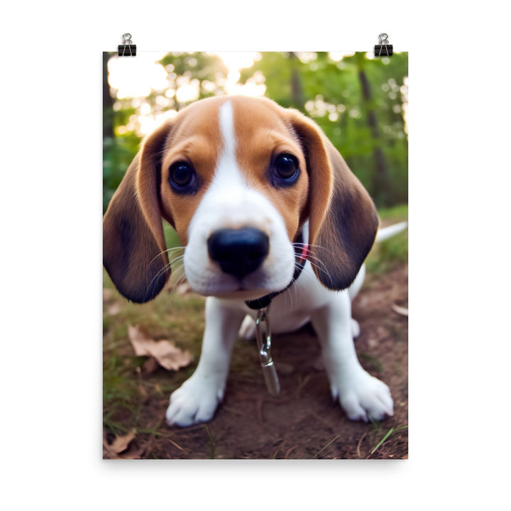 The curious eyes of a Beagle pup Photo paper poster - PosterfyAI.com