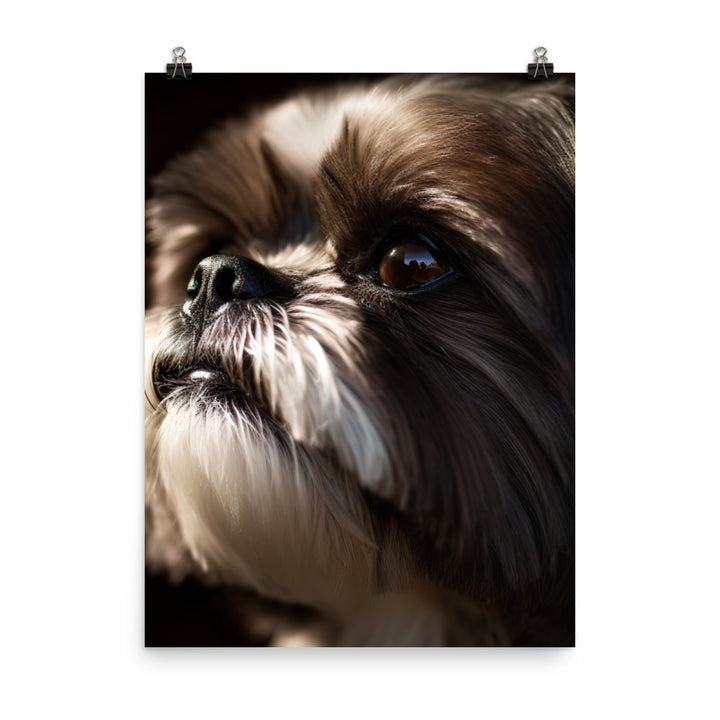 Shih Tzu Portrait in Soft Lighting Photo paper poster - PosterfyAI.com