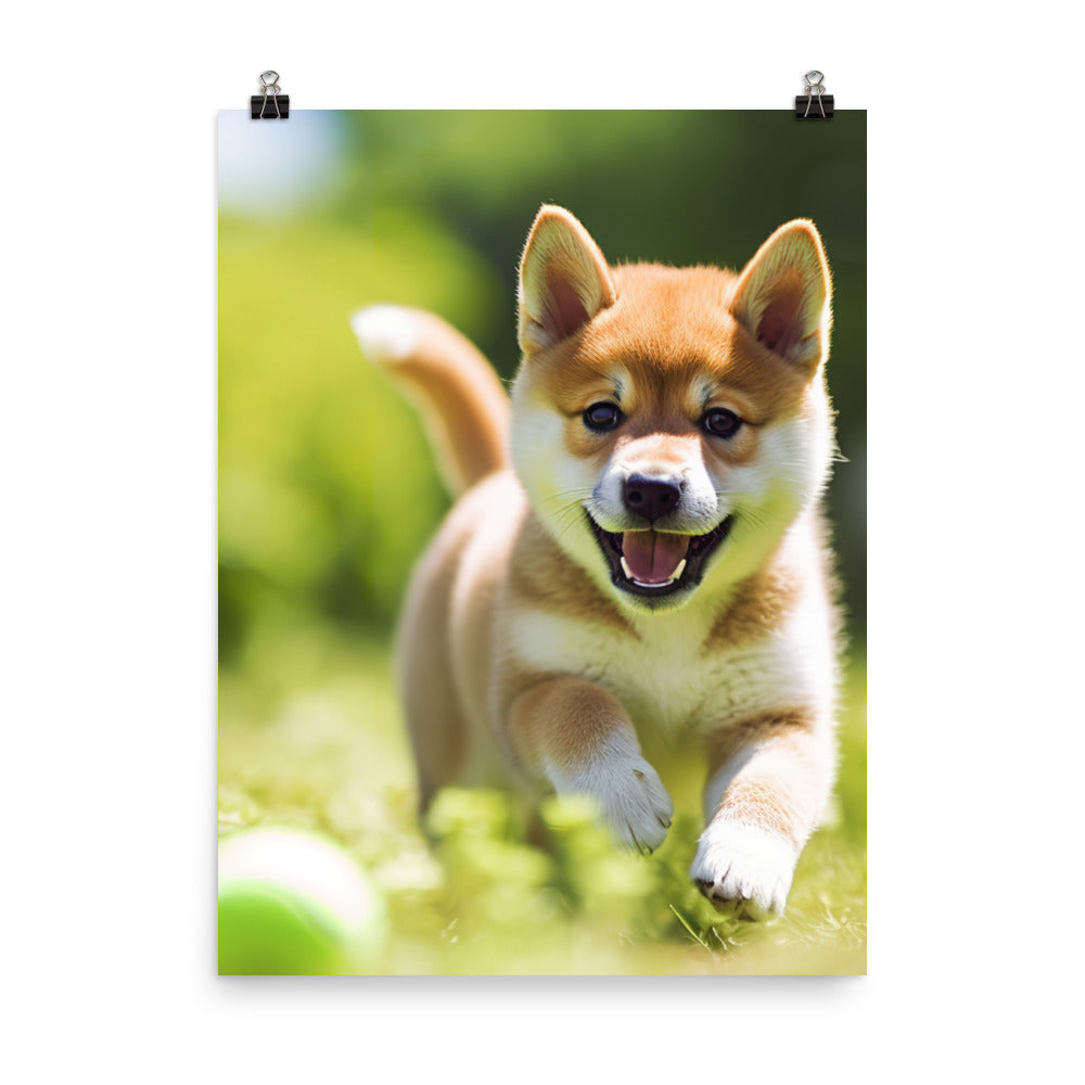 Shiba Inu Pup Playing Photo paper poster - PosterfyAI.com