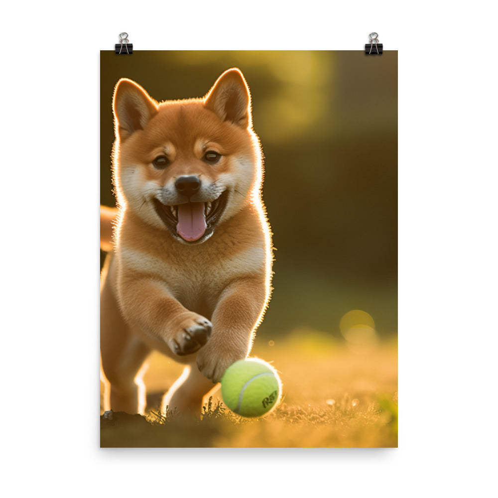 Shiba Inu Pup Playing Photo paper poster - PosterfyAI.com