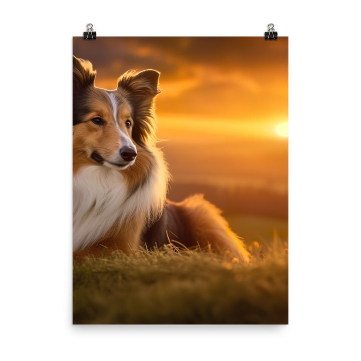 Shetland Sheepdog Watching the Sunset Photo paper poster - PosterfyAI.com