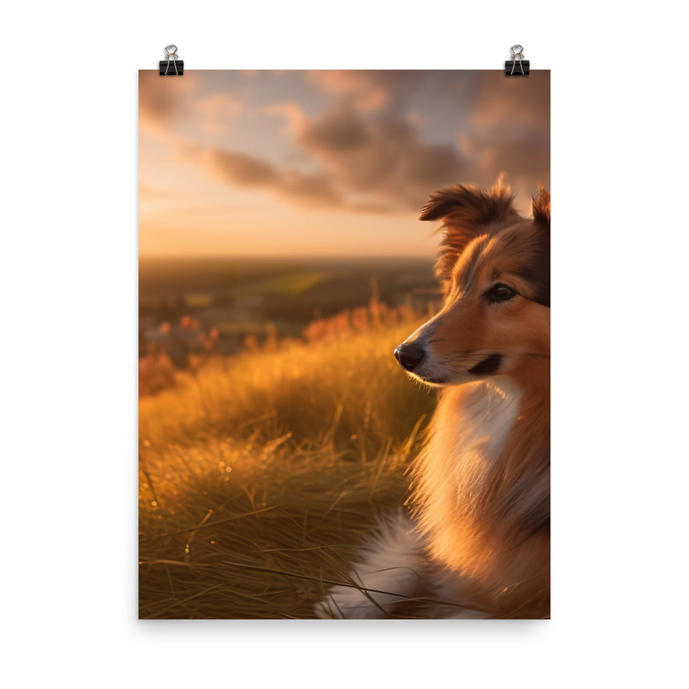 Shetland Sheepdog Watching the Sunset Photo paper poster - PosterfyAI.com