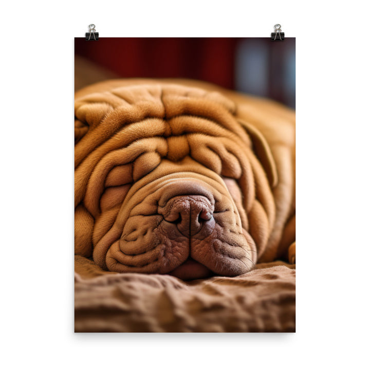 Shar Pei Dreaming Photo paper poster - PosterfyAI.com