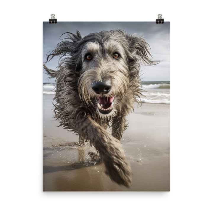 Scottish Deerhound on the Beach Photo paper poster - PosterfyAI.com