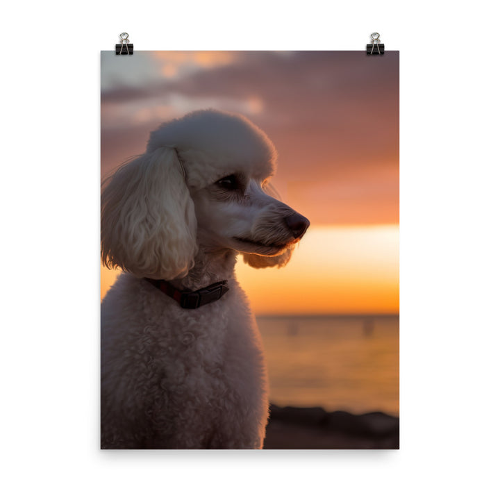 Poodle by the Seaside Photo paper poster - PosterfyAI.com