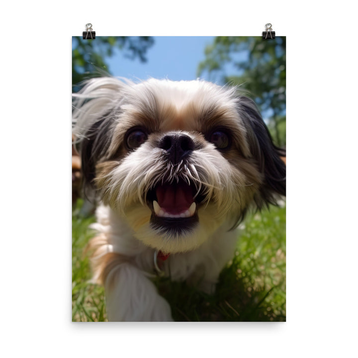 Playful Shih Tzu in a Park Photo paper poster - PosterfyAI.com