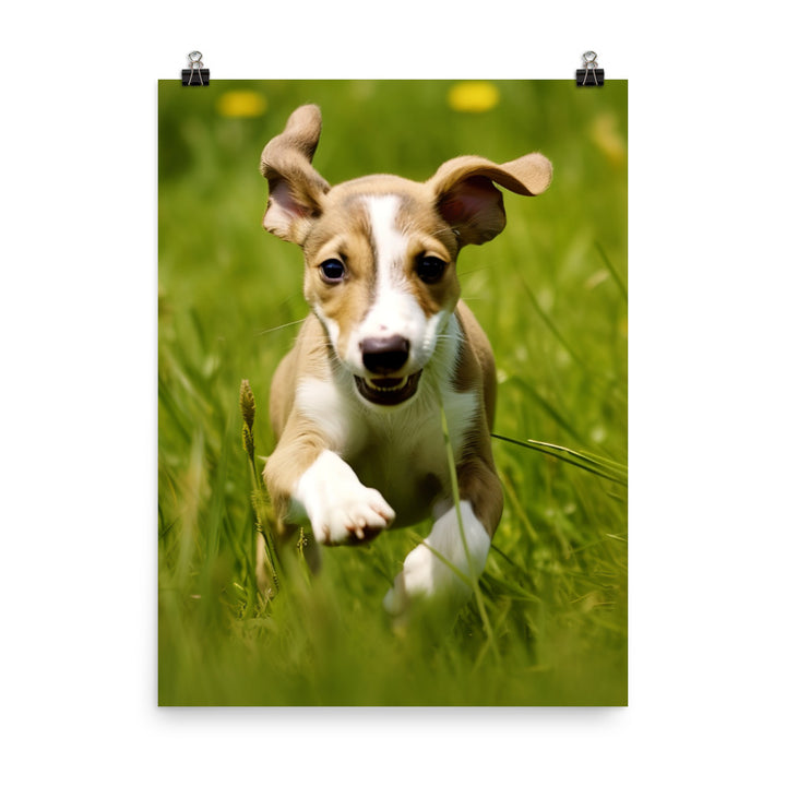 Playful Greyhound Pup Photo paper poster - PosterfyAI.com