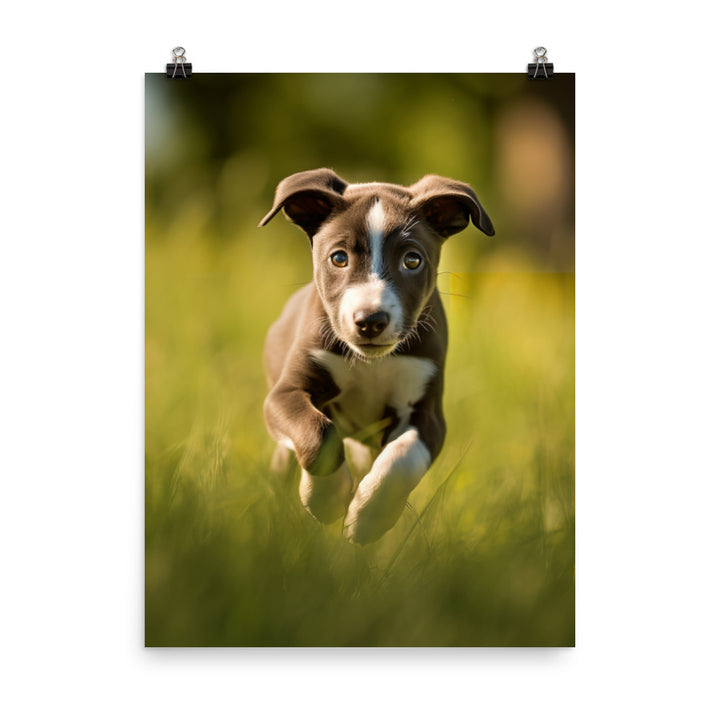 Playful Greyhound Pup Photo paper poster - PosterfyAI.com