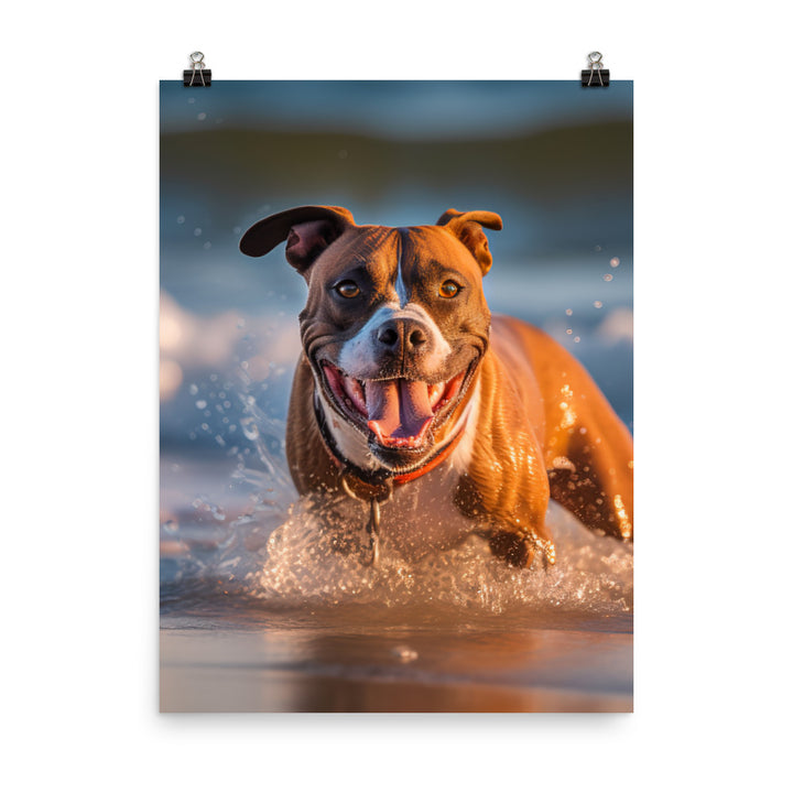 Playful American Staffordshire Terrier Photo paper poster - PosterfyAI.com