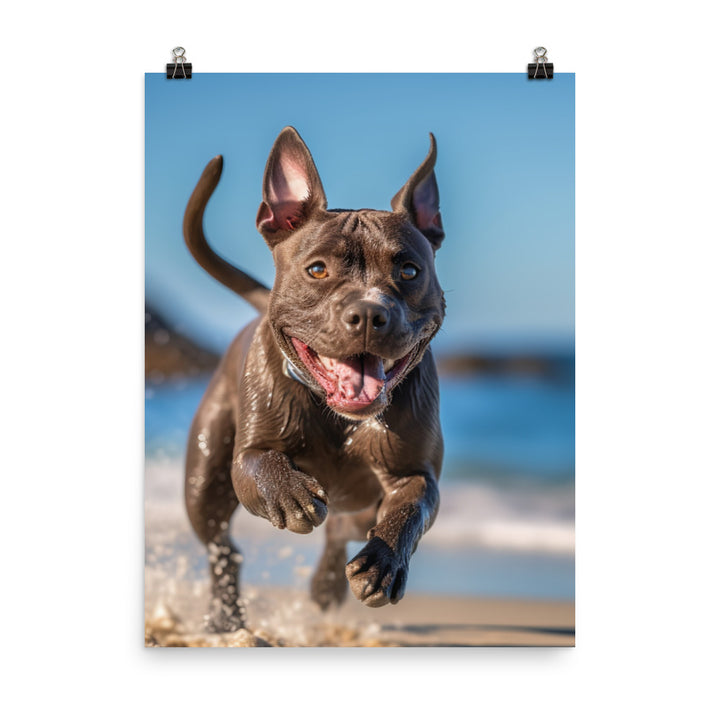 Playful American Staffordshire Terrier Photo paper poster - PosterfyAI.com