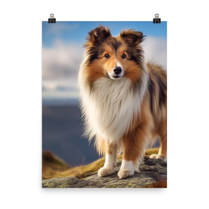 Majestic Shetland Sheepdog on a Hike Photo paper poster - PosterfyAI.com