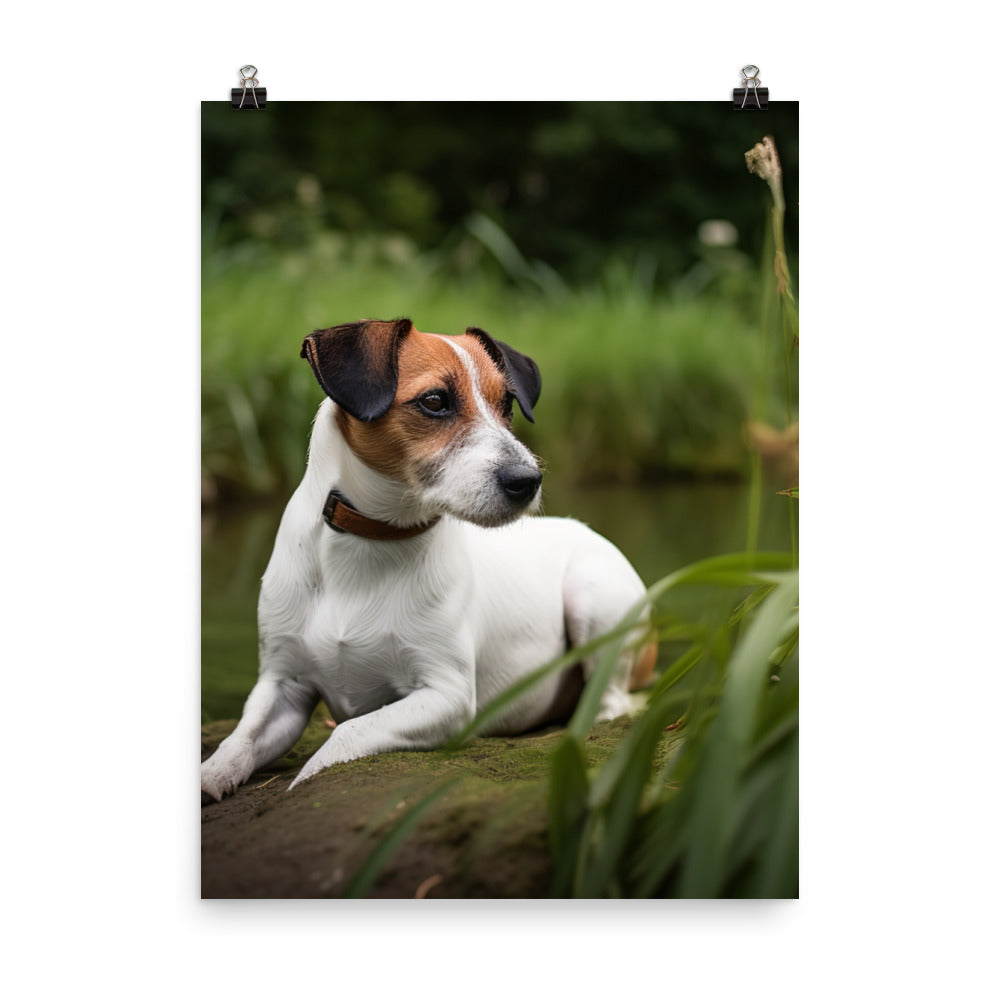 Loyal Jack Russell Terrier Photo paper poster - PosterfyAI.com