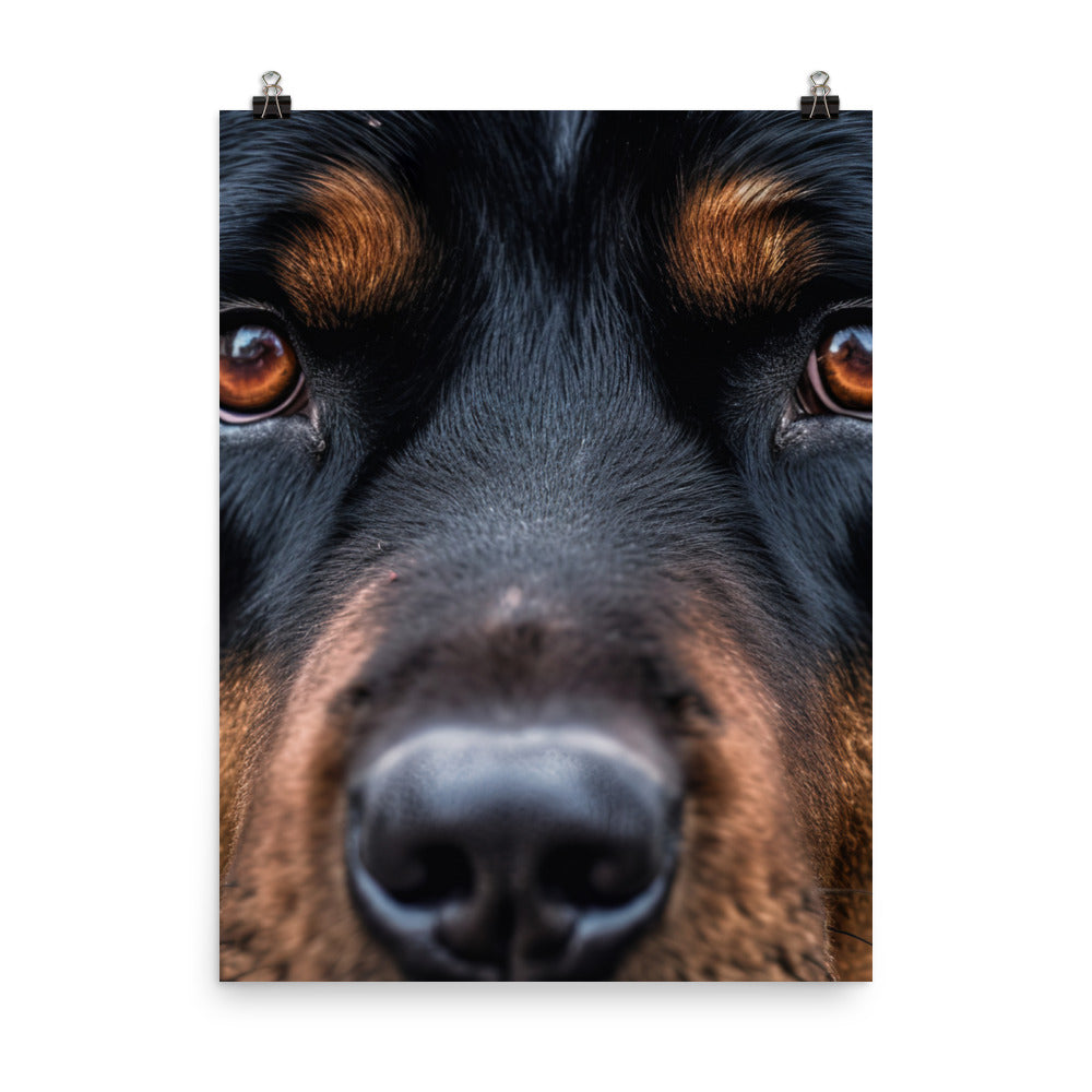 Rottweiler Photo paper poster - PosterfyAI.com