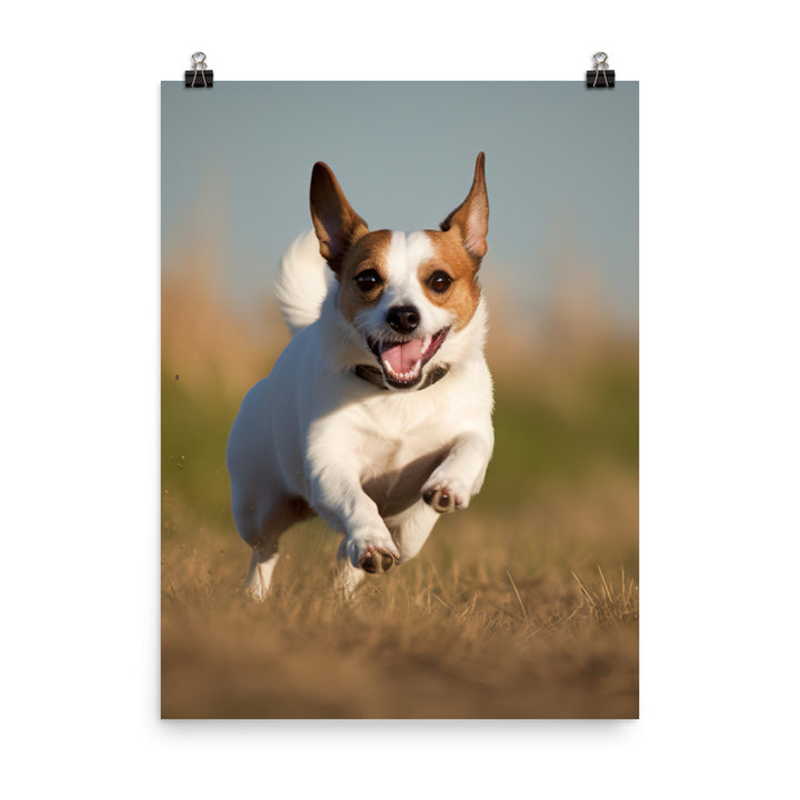 Jack Russell Terriers Comical Expression Photo paper poster - PosterfyAI.com