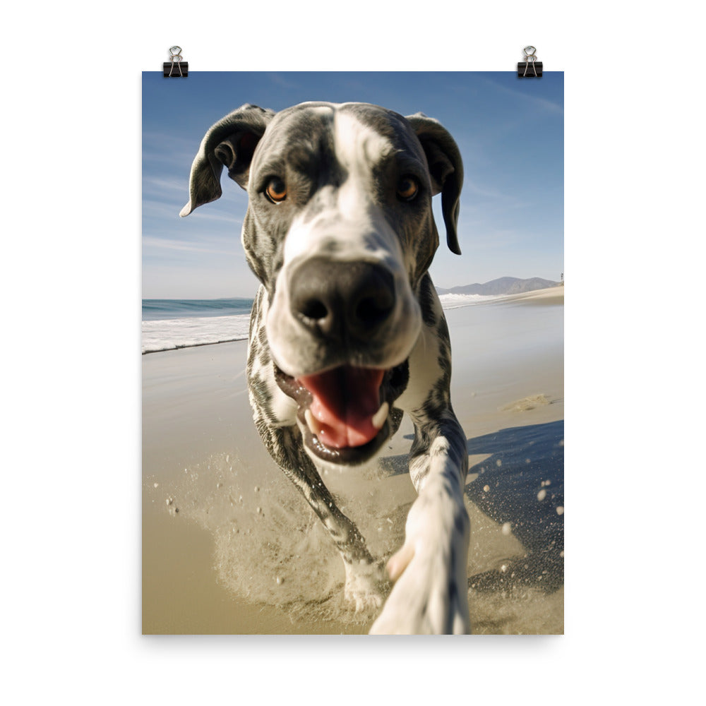 Great Dane at Play Photo paper poster - PosterfyAI.com