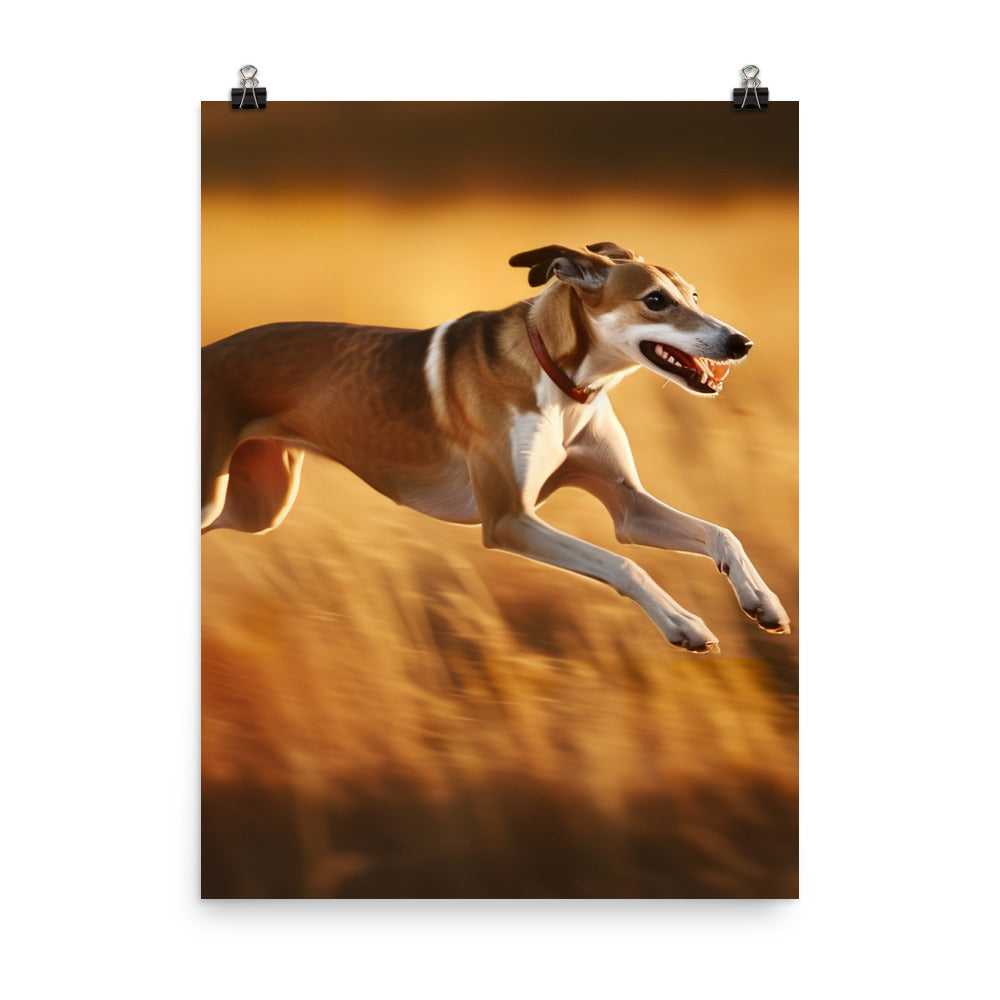 Graceful Greyhound Photo paper poster - PosterfyAI.com