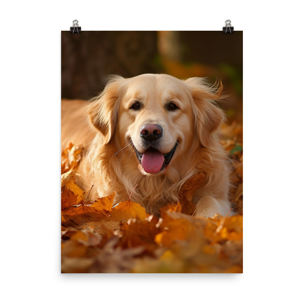 Golden Retriever in the Fall Photo paper poster - PosterfyAI.com