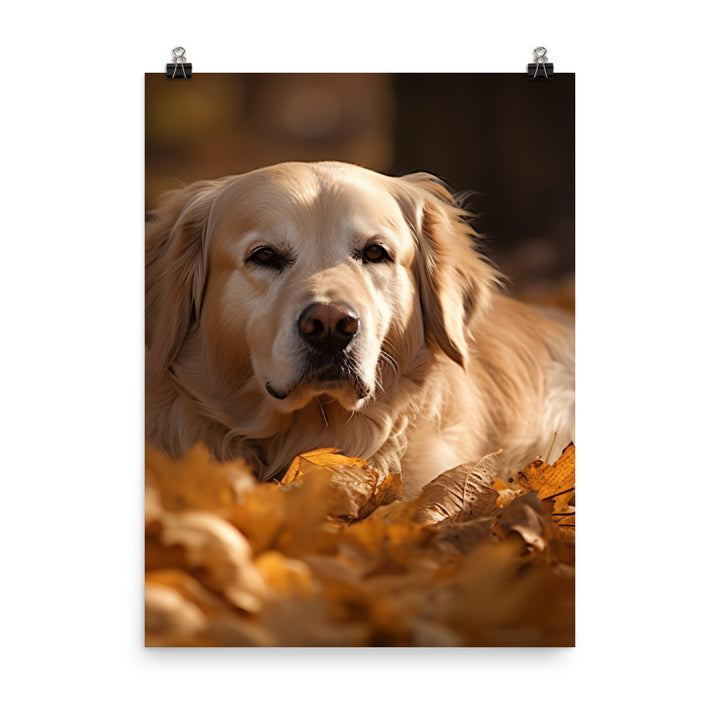 Golden Retriever in the Fall Photo paper poster - PosterfyAI.com
