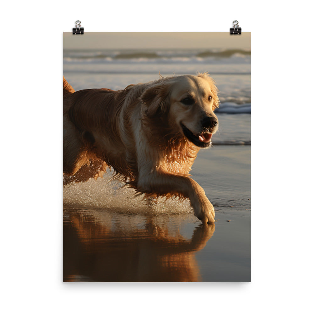 Golden Retriever at the Beach Photo paper poster - PosterfyAI.com