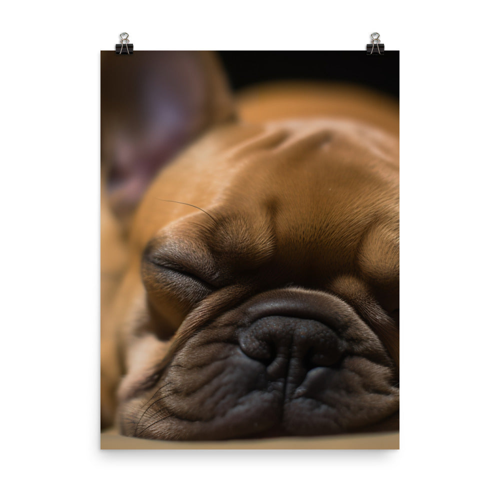 Frenchie dreams Photo paper poster - PosterfyAI.com