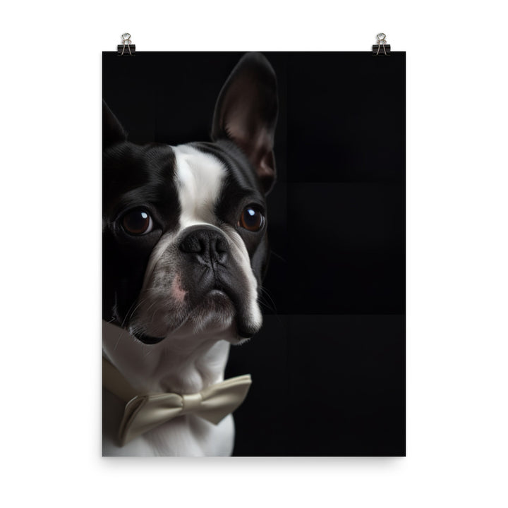 Elegant Boston Terrier Portrait Photo paper poster - PosterfyAI.com