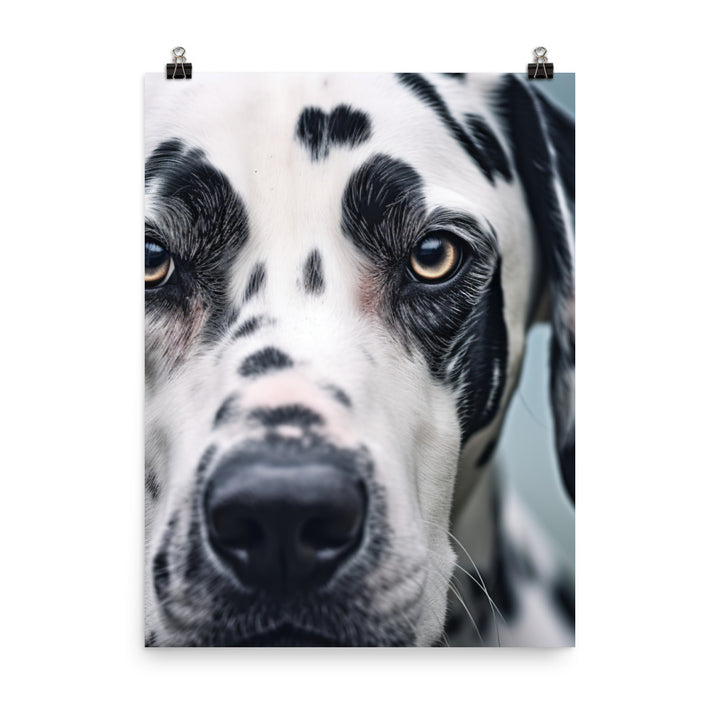 Dalmatians face Photo paper poster - PosterfyAI.com