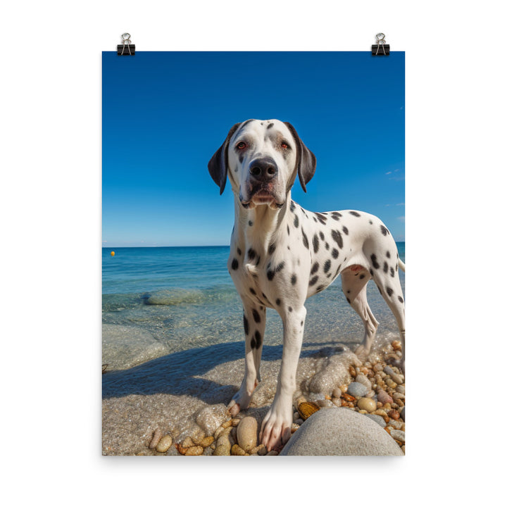Dalmatian on the Beach Photo paper poster - PosterfyAI.com
