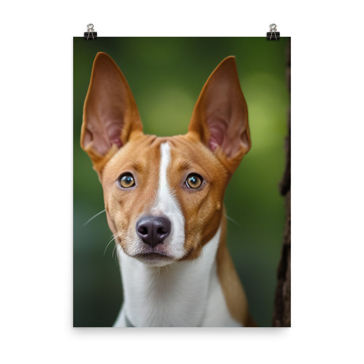 Curious Basenji Photo paper poster - PosterfyAI.com