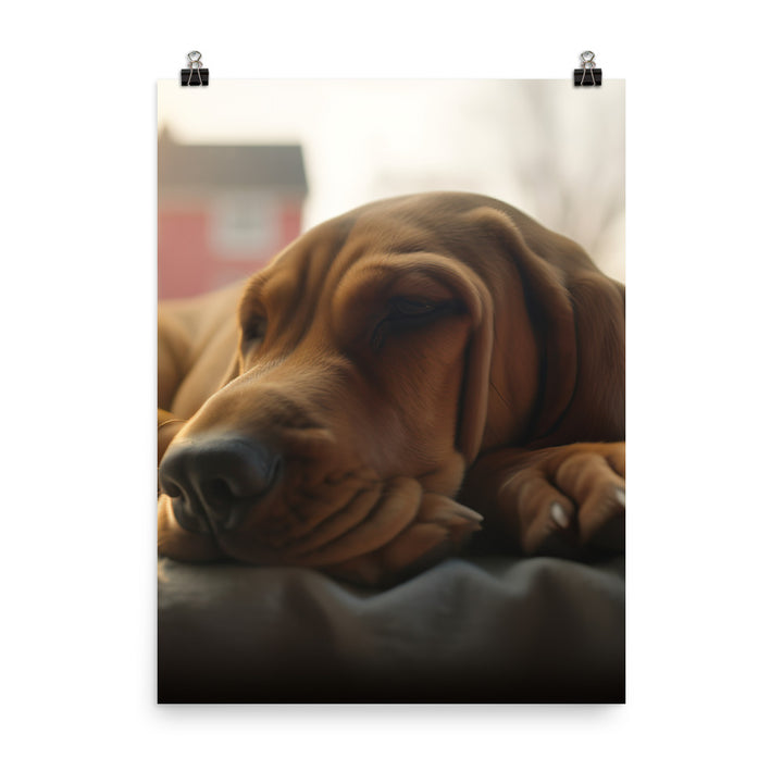 Cuddles with a Bloodhound Photo paper poster - PosterfyAI.com