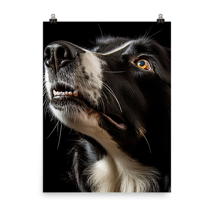 Clever Border Collie Photo paper poster - PosterfyAI.com