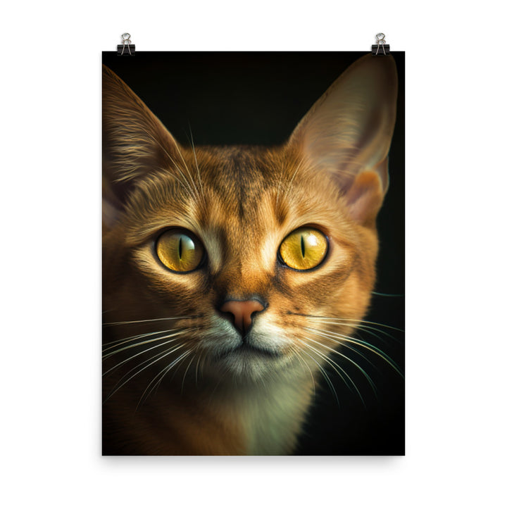 Eyes of Abyssinian Cat Photo paper poster - PosterfyAI.com