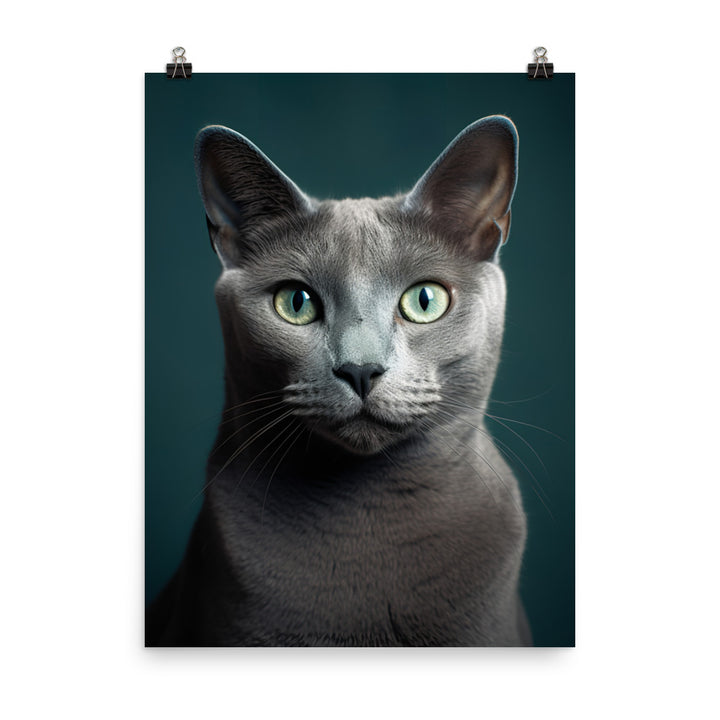 Gentle Nature of Russian Blue Cat Photo paper poster - PosterfyAI.com