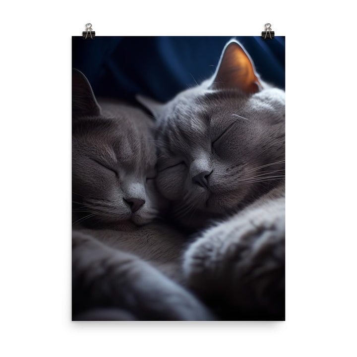 British Shorthair Cat Photo paper poster - PosterfyAI.com