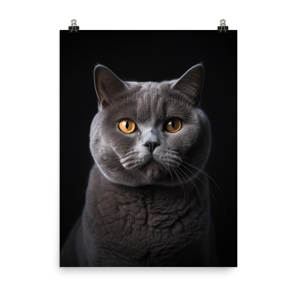 British Shorthair Cat in Portraits Photo paper poster - PosterfyAI.com