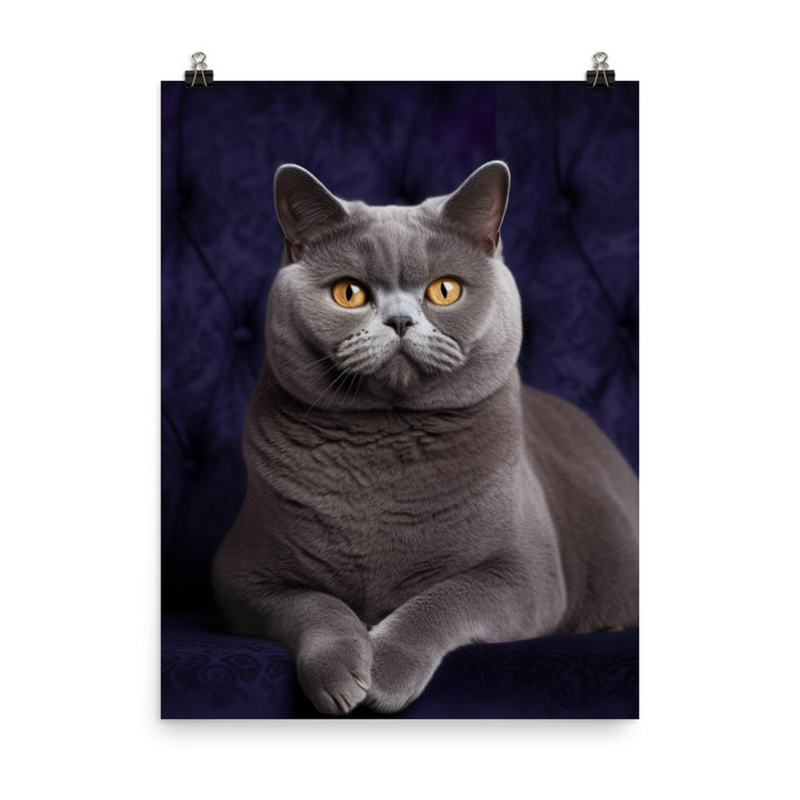 British Shorthair Cat in Portraits Photo paper poster - PosterfyAI.com