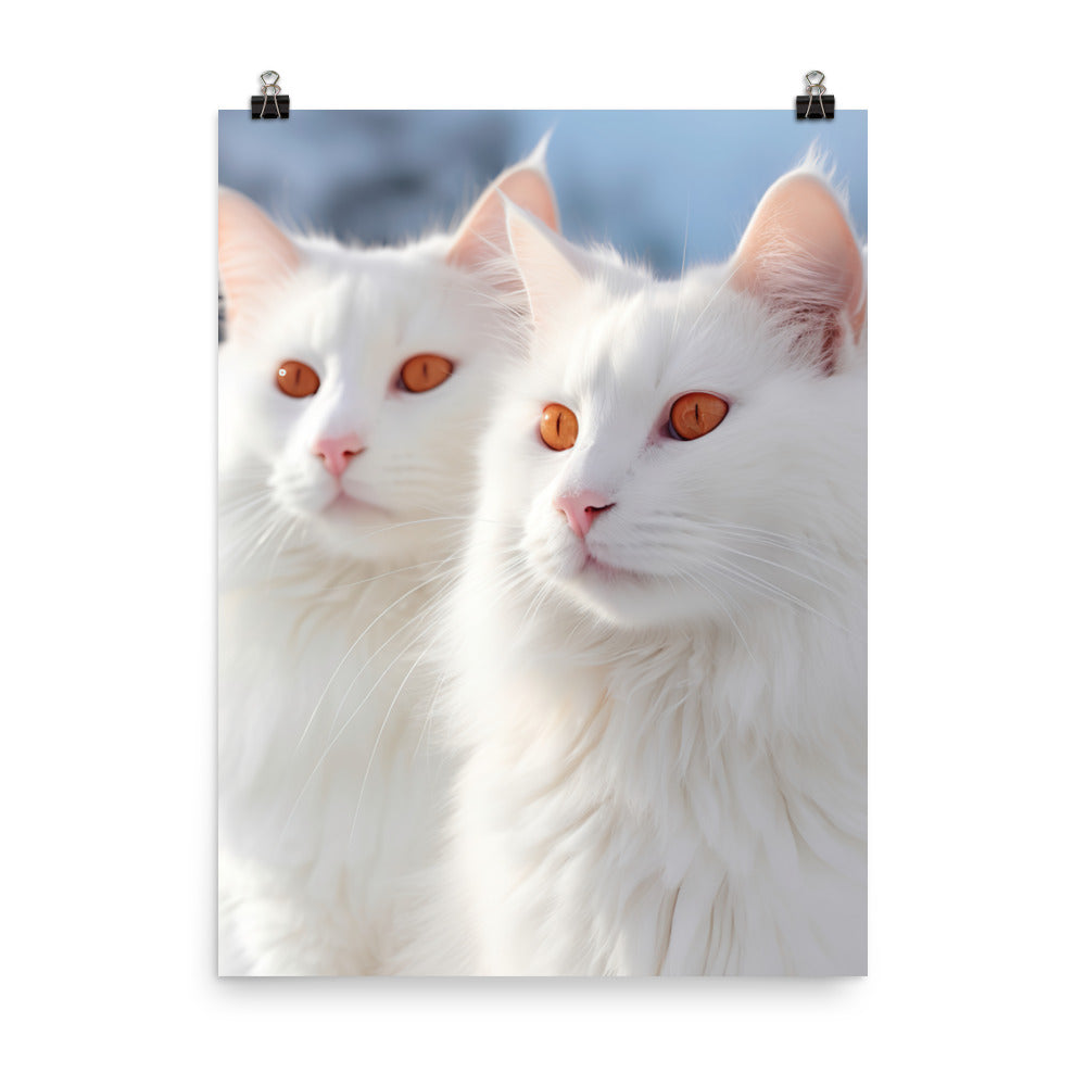 Turkish Van Cat in Winter Photo paper poster - PosterfyAI.com