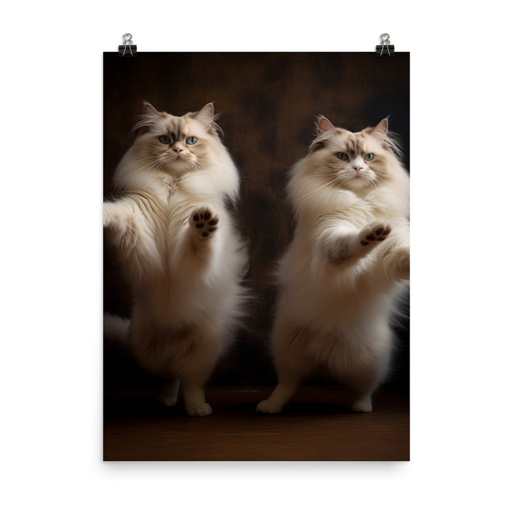 Ragdoll Cat in Motion Photo paper poster - PosterfyAI.com