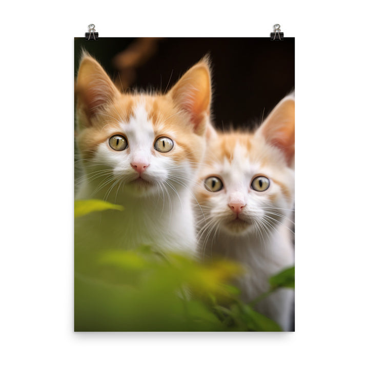 Japanese Bobtail Kitten Photo paper poster - PosterfyAI.com