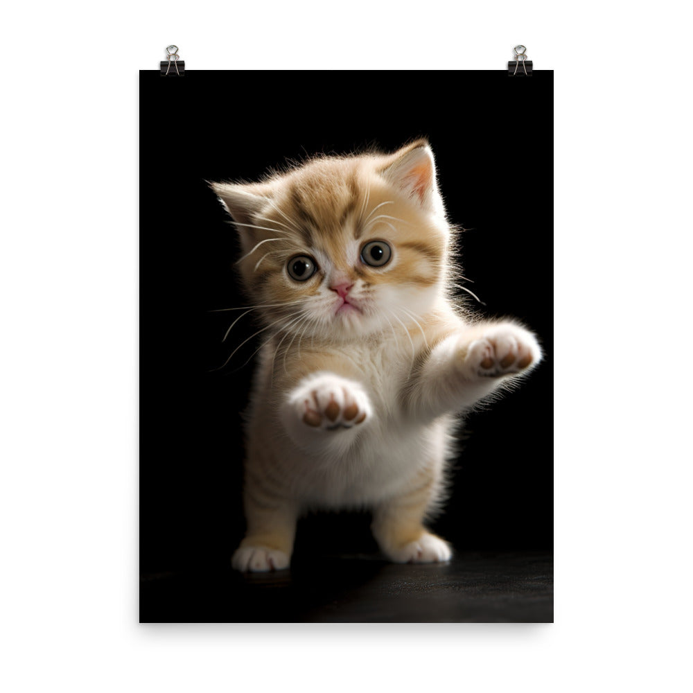 Exotic Shorthair Kitten Photo paper poster - PosterfyAI.com