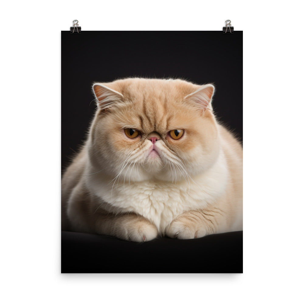 Elegance of Exotic Shorthair Cat Photo paper poster - PosterfyAI.com