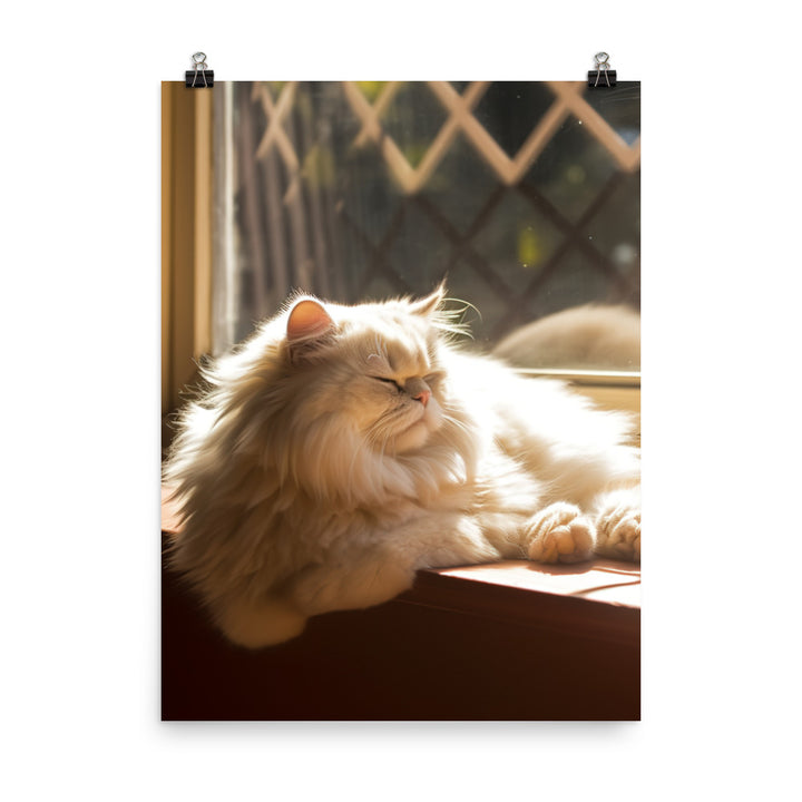 Persian Cat Relaxation Photo paper poster - PosterfyAI.com