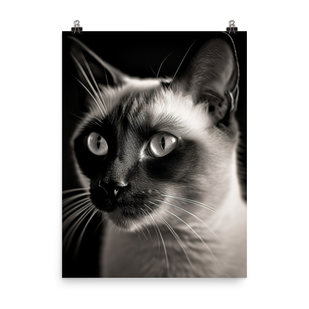 Siamese Charm in Black and White Photo paper poster - PosterfyAI.com