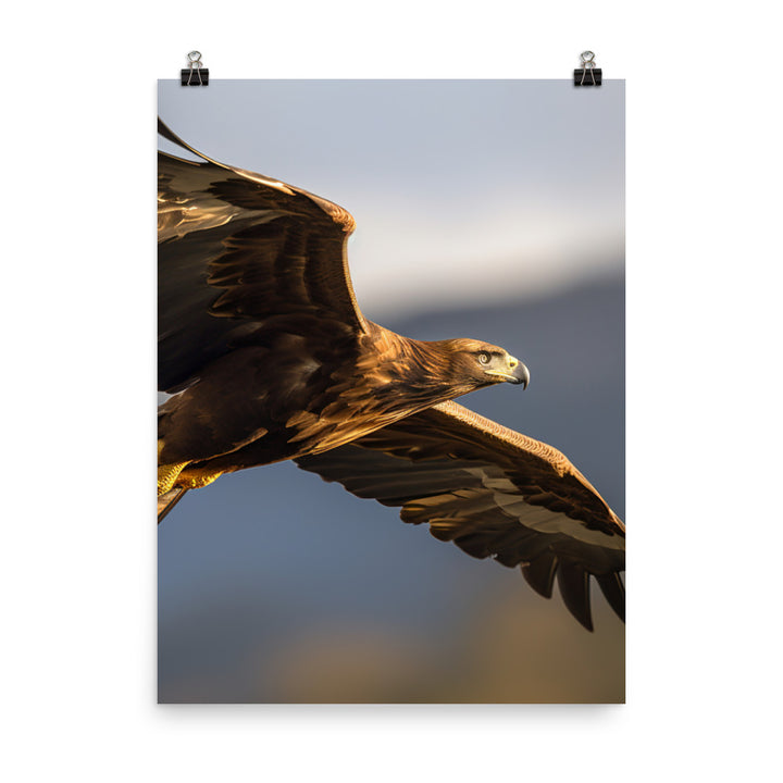 Golden Eagle soaring high in the sky Photo paper poster - PosterfyAI.com