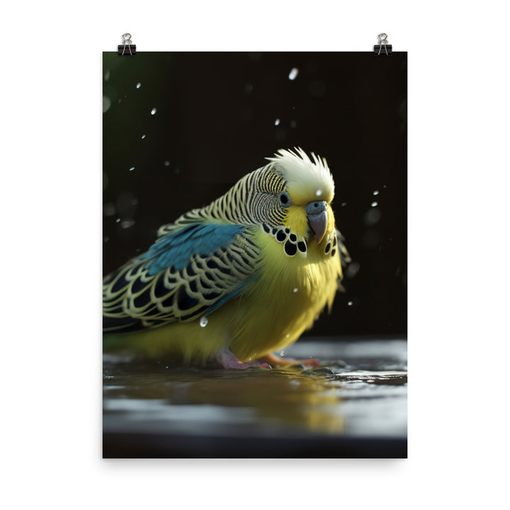Budgie Taking a Bath Photo paper poster - PosterfyAI.com