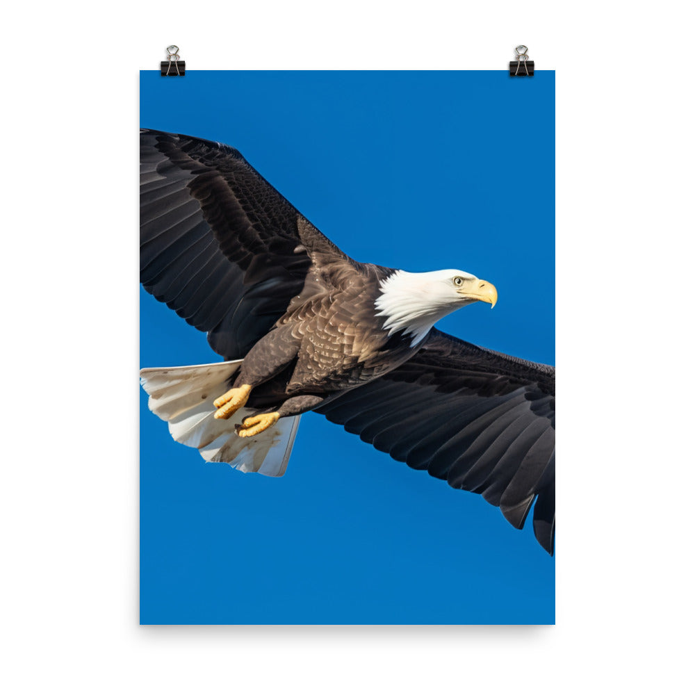 Beautiful Bald Eagle in Flight Against the Blue Sky Photo paper poster - PosterfyAI.com